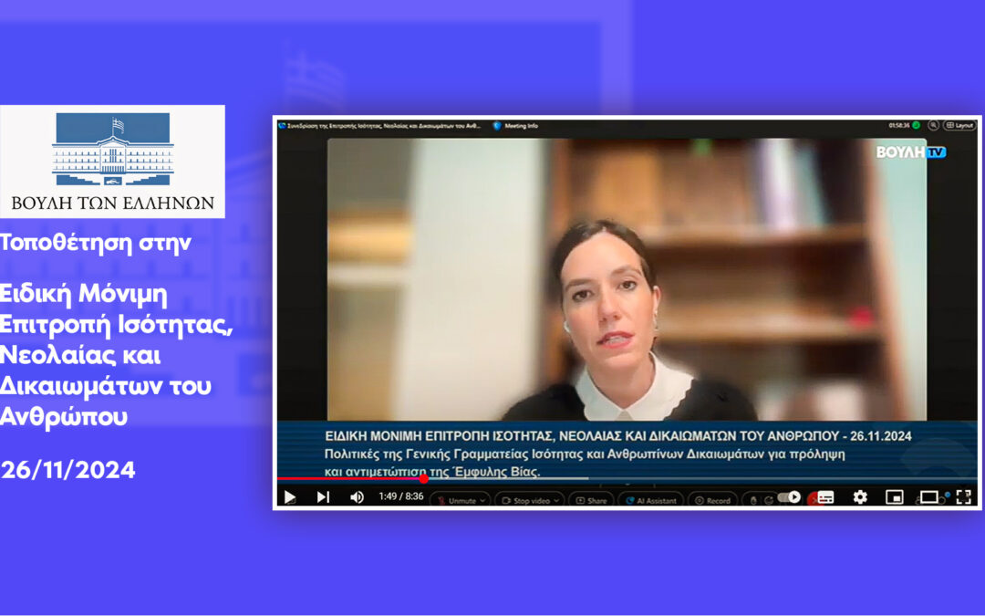 Ειδική Μόνιμη Επιτροπή Ισότητας, Νεολαίας και Δικαιωμάτων του Ανθρώπου. 26-11-2024